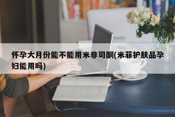 admin 第300页